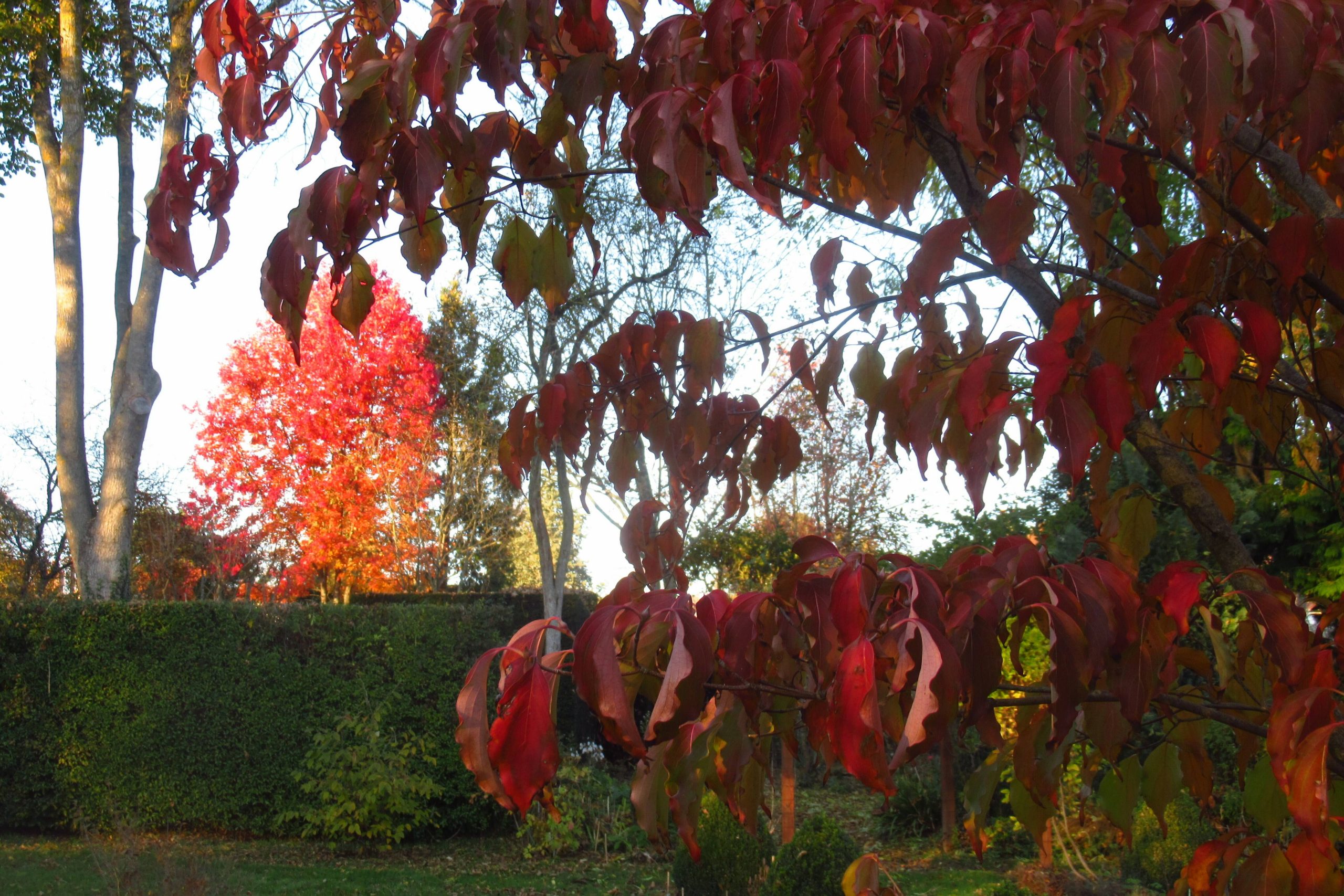 Photo en automne du Jardin de La Petite Rochelle